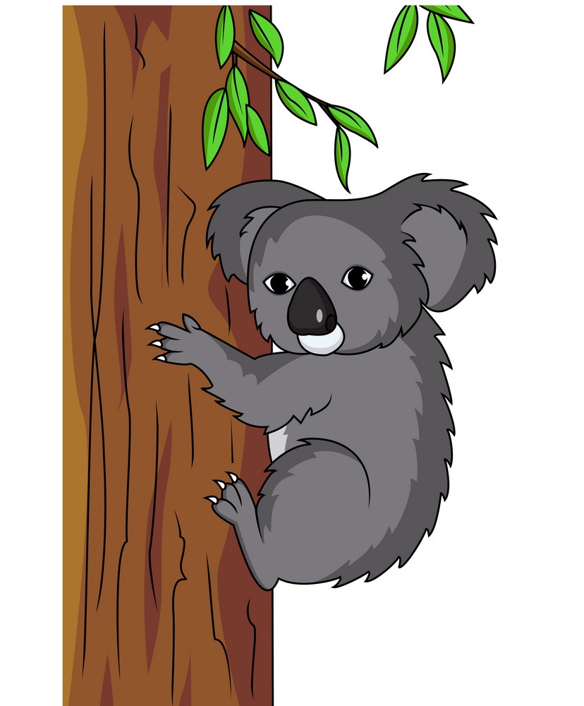 木の上にいるコアラのイラスト