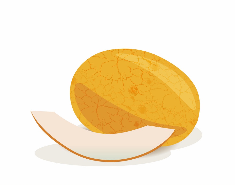 黄色いメロンの果実をイラストします
