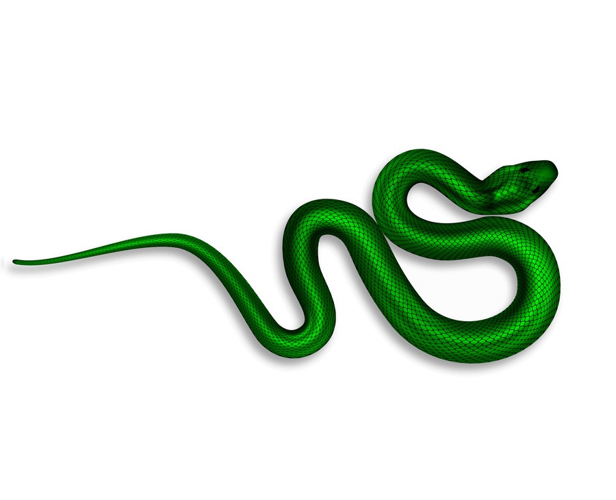 危険な毒を持つエキゾチックなヘビのイラスト イラスト