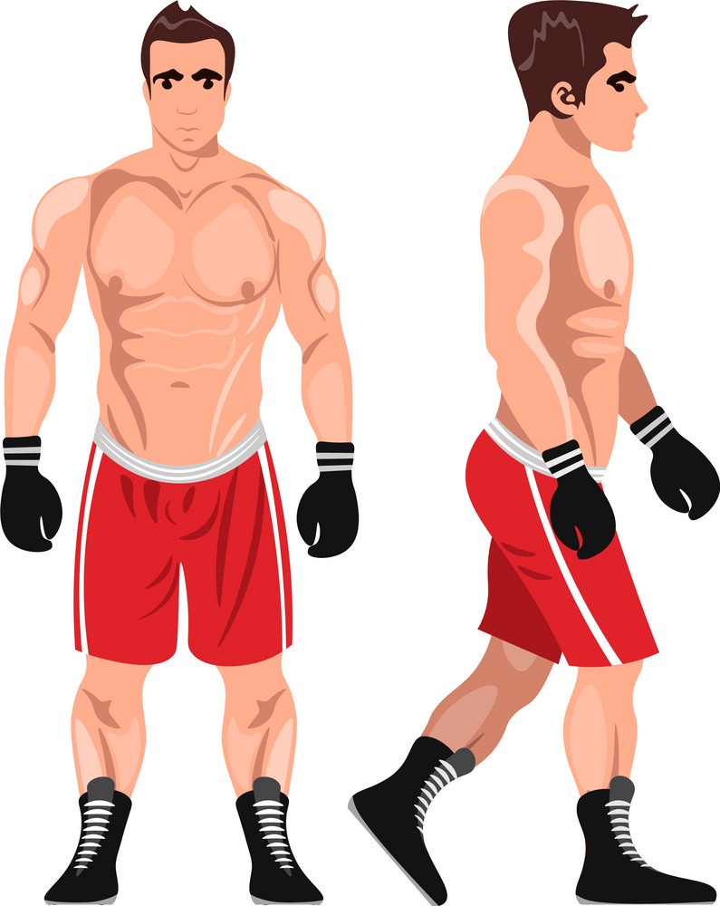 筋肉ボクサーの男のビューのイラスト イラスト