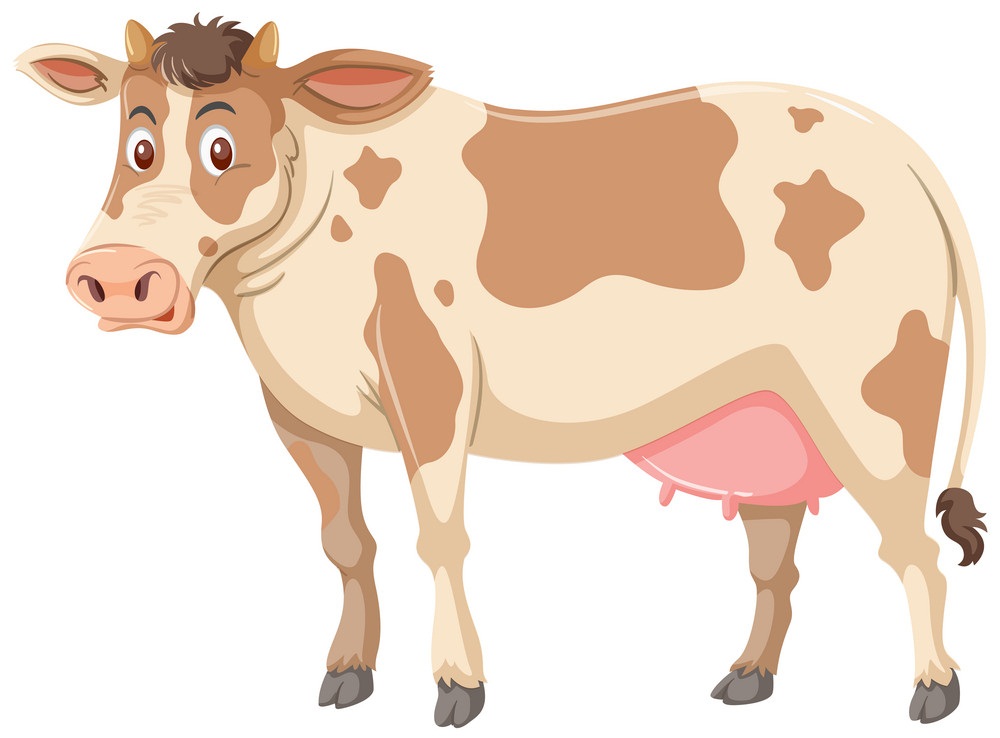 大きな茶色の牛のイラスト イラスト