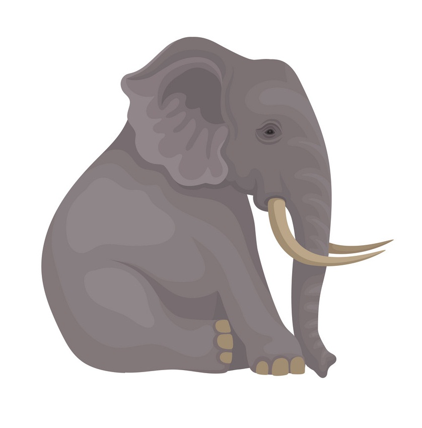 大きな灰色の象が座っているイラスト イラスト