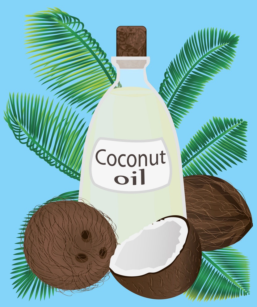 ココナッツオイルを使ったココナッツのイラスト イラスト
