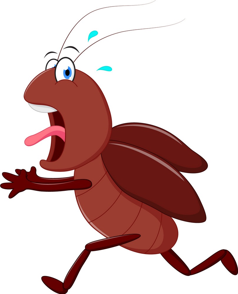 怖いゴキブリが走っているイラスト イラスト