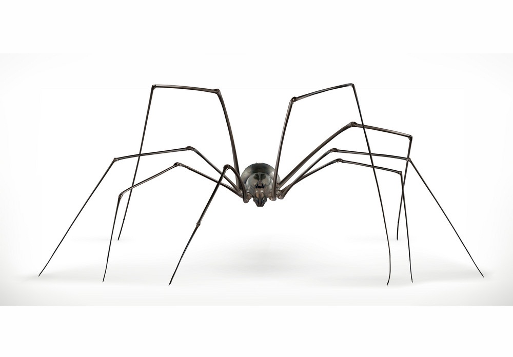 怖い蜘蛛のイラスト イラスト