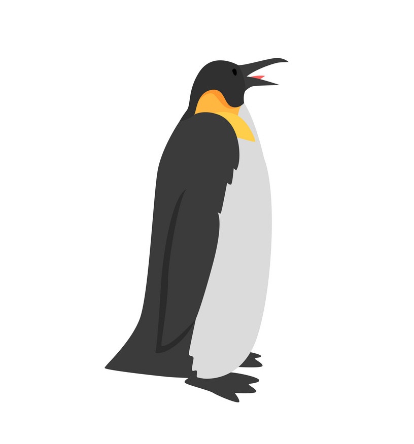 口を開けたペンギンのイラスト イラスト