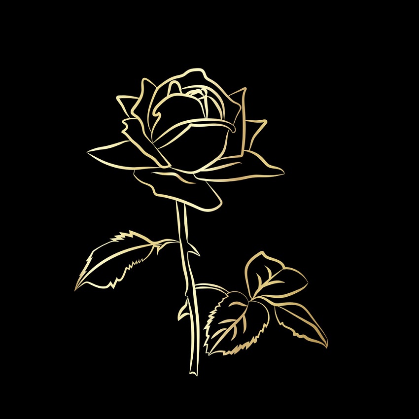 黒の背景にゴールドのバラの概要を図します イラスト