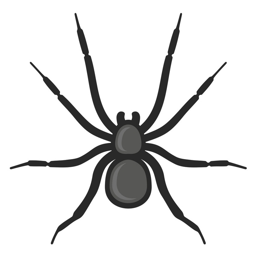 黒い蜘蛛のアイコンのイラスト