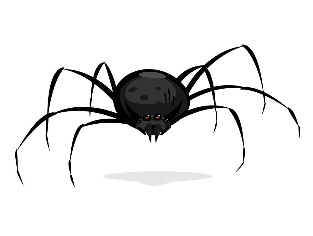 黒い蜘蛛のイラスト イラスト