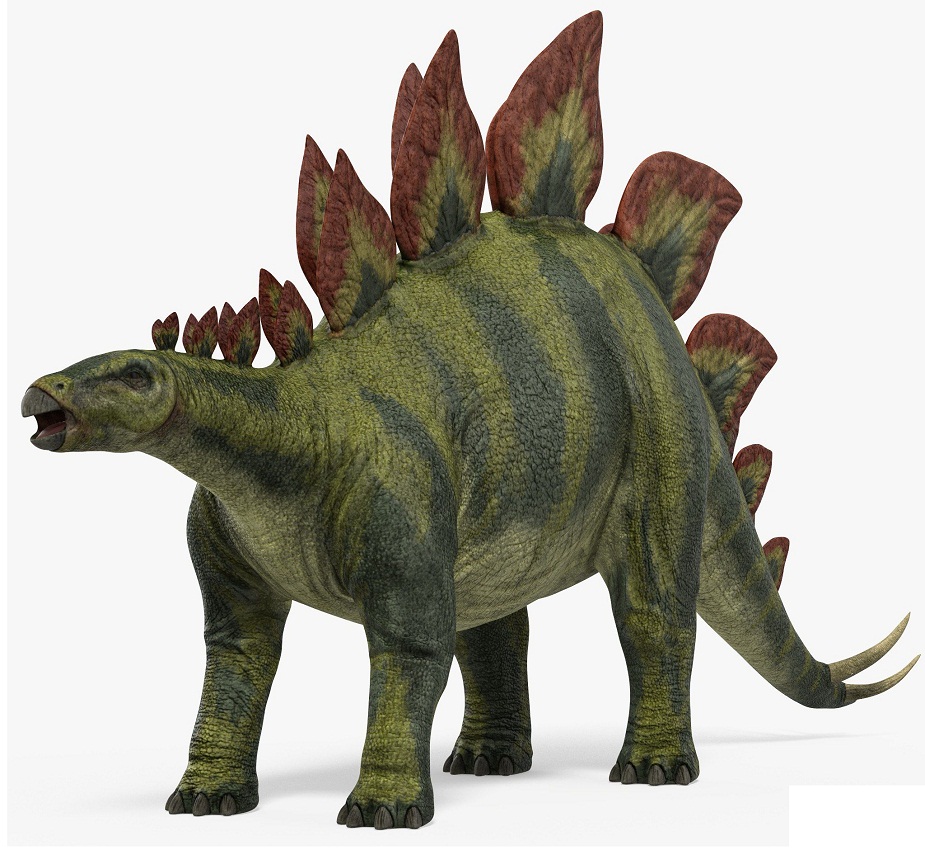 恐竜ステゴサウルスのイラスト イラスト