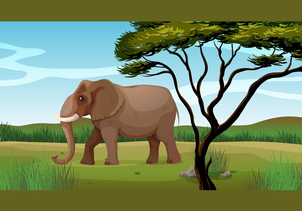 巨大なアフリカ象のイラスト イラスト