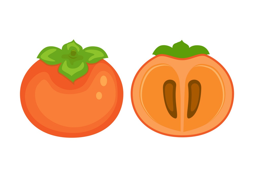丸ごと半分の柿の果実をイラストします イラスト