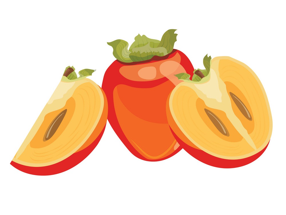 丸ごと半分の柿とスライスのイラスト イラスト