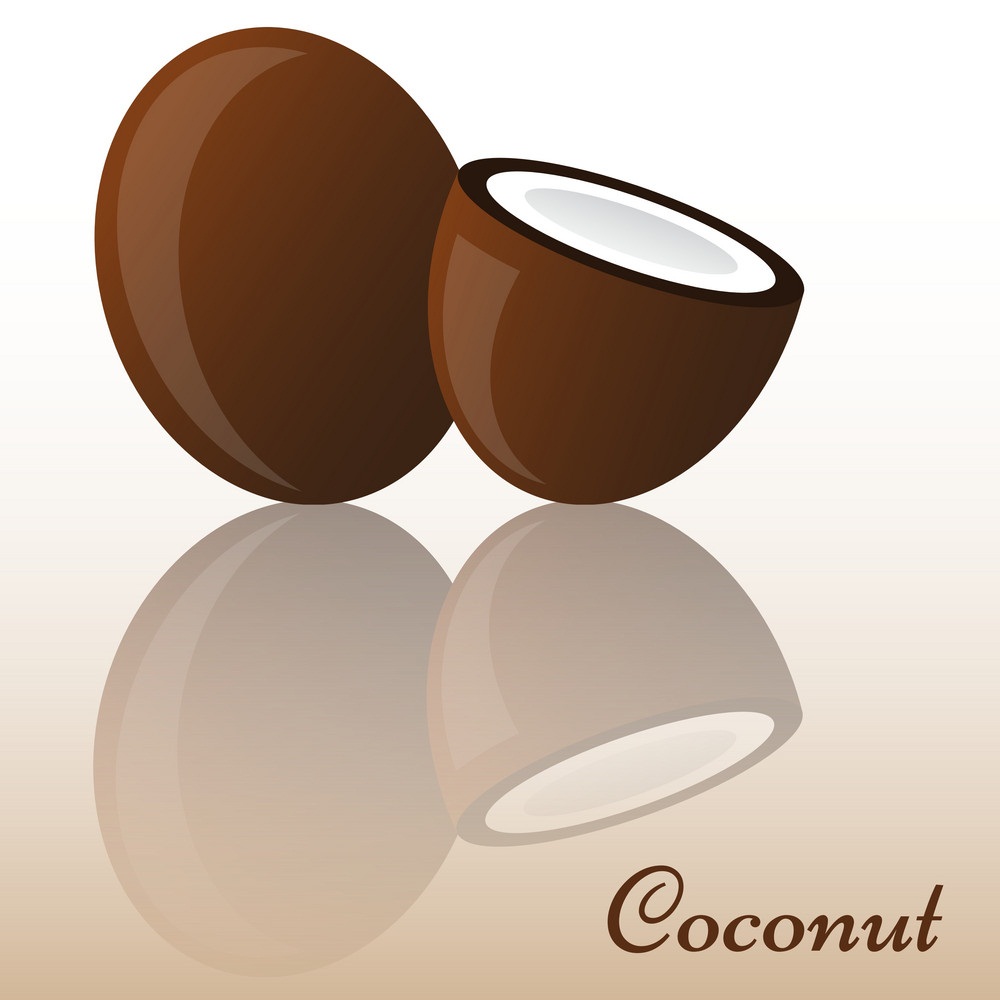 丸ごと半分のココナッツのイラスト 1 イラスト