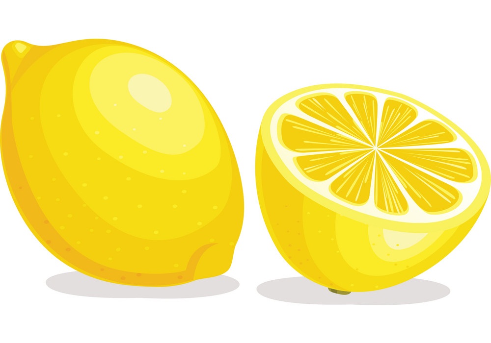 丸ごと半分のレモンのイラスト１ イラスト