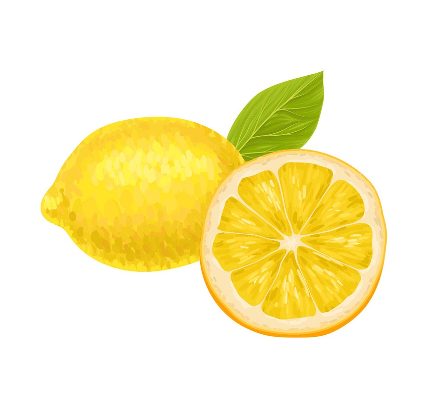 丸ごと半熟レモンのイラスト イラスト