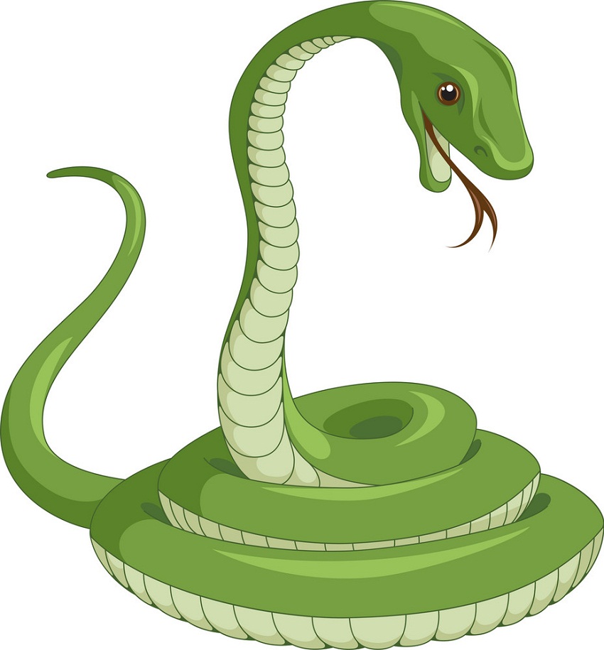 緑の蛇のイラスト イラスト