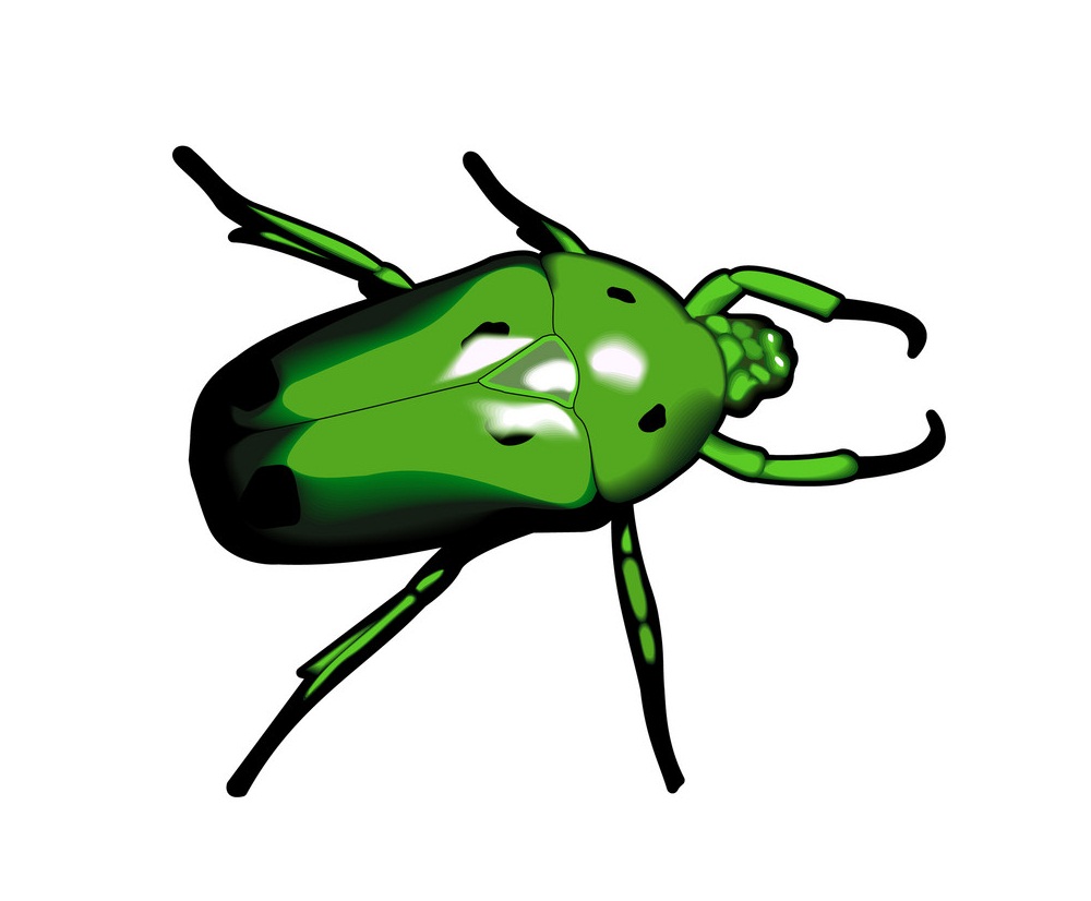 緑のカブトムシのイラスト
