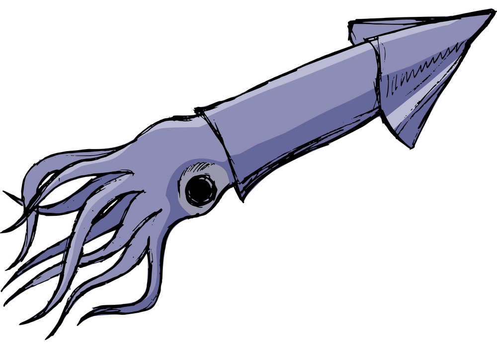 紫イカのスケッチのイラスト