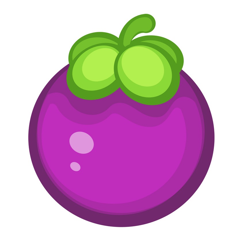 紫色のマンゴスチンの果実のイラスト