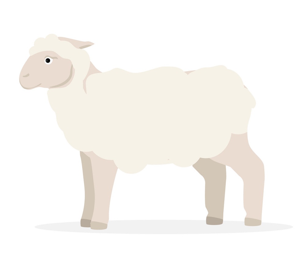 農場の羊のイラスト イラスト