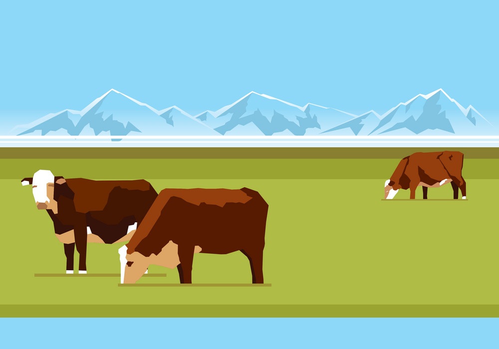 農場の牛と山のイラスト イラスト