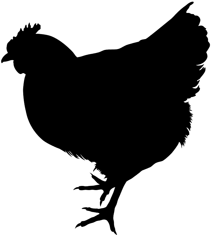 鶏のシルエットイラスト イラスト