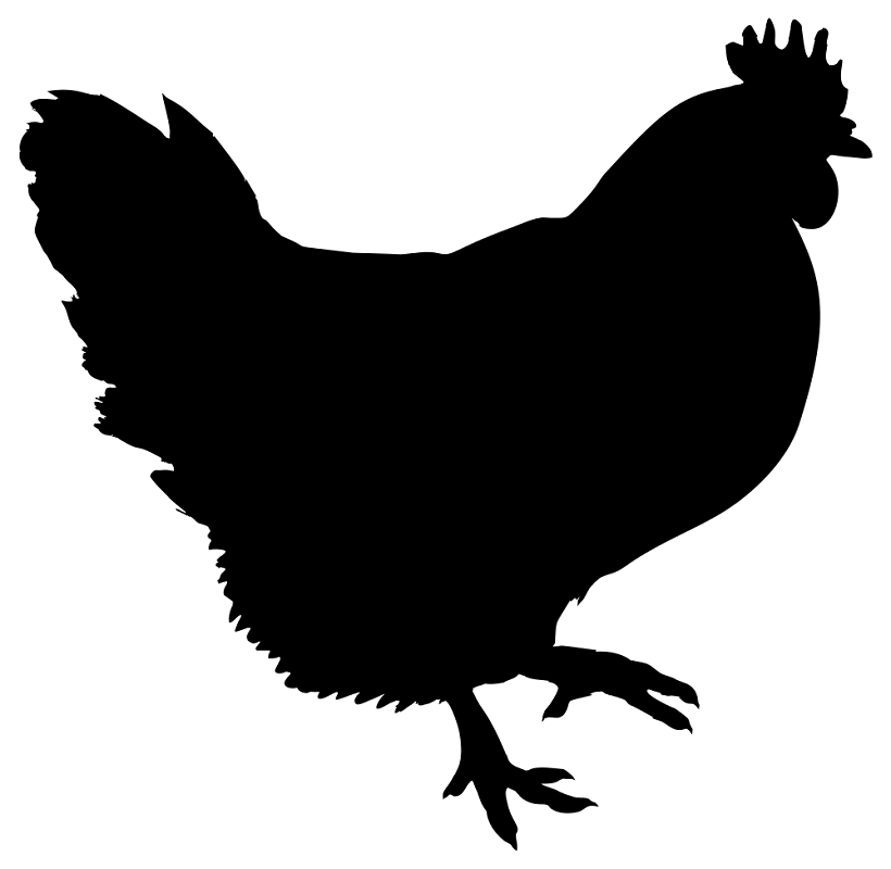 鶏のシルエットのイラスト6 イラスト