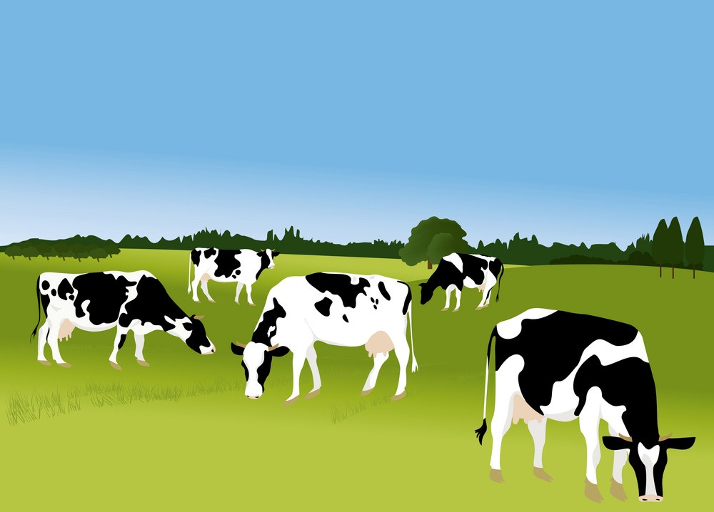 野原にいる牛のイラスト イラスト
