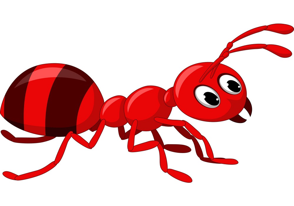 面白い赤アリのイラスト イラスト