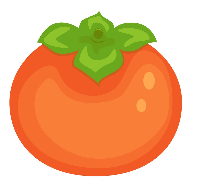 オレンジ色の柿のイラスト イラスト