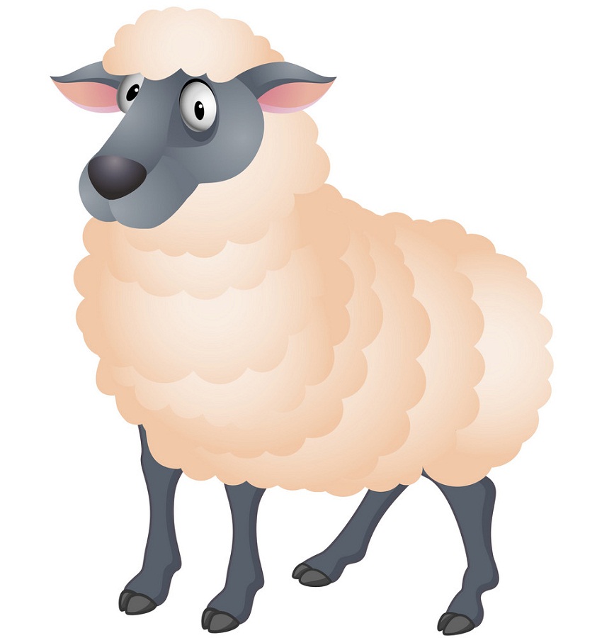 愚かな羊のイラスト イラスト