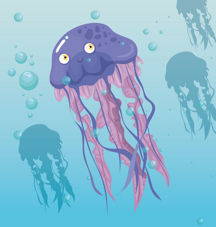 泳ぐ素敵なクラゲのイラスト イラスト