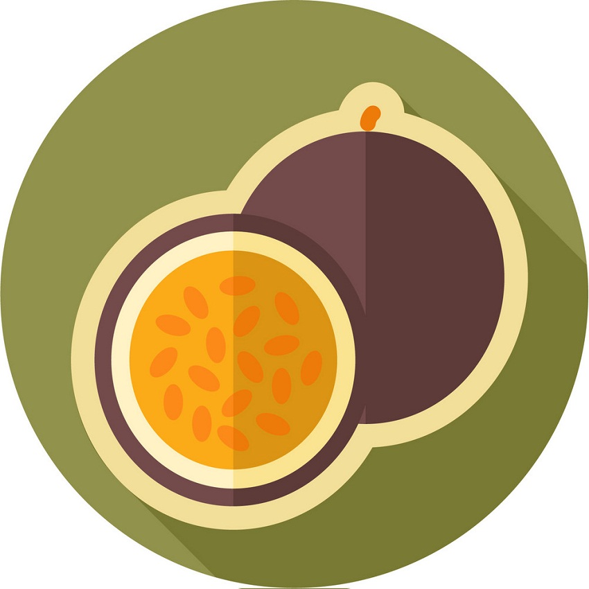 パッションフルーツのロゴ1イラスト イラスト