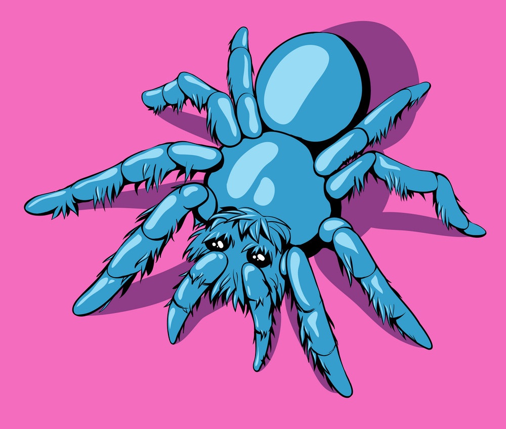 ピンクの背景に青いクモのイラスト イラスト