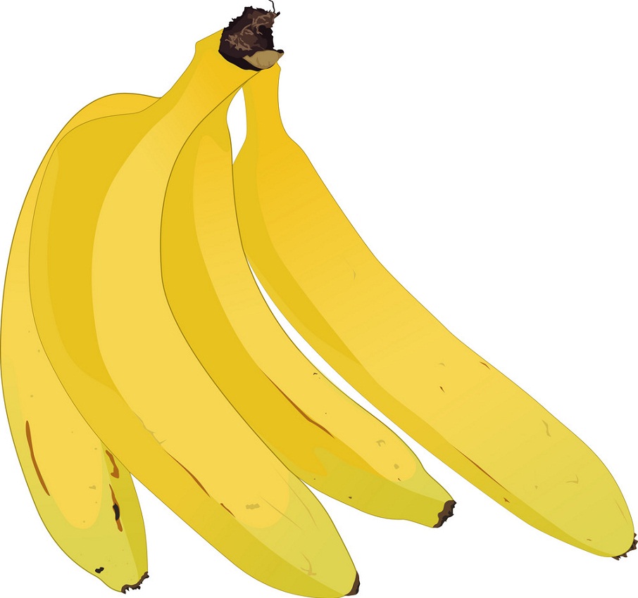 レディーフィンガーバナナの束のイラスト イラスト