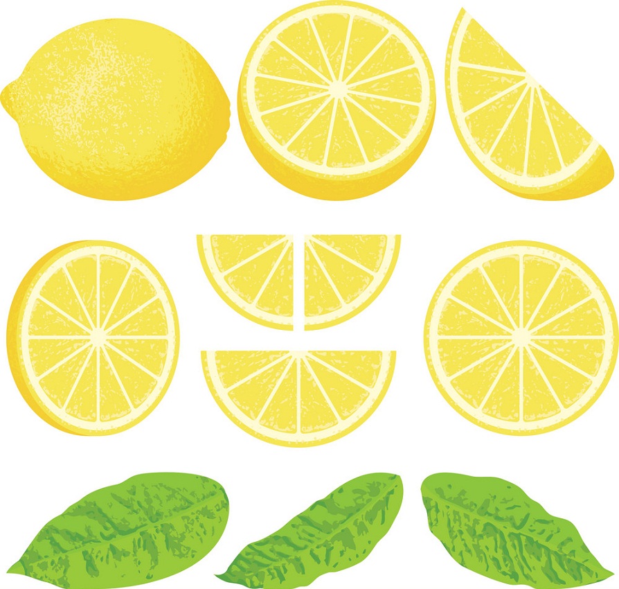 レモンのスライスと葉のイラスト イラスト