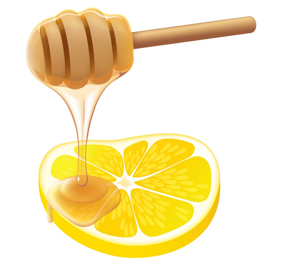 レモンスライスと蜂蜜のイラスト イラスト