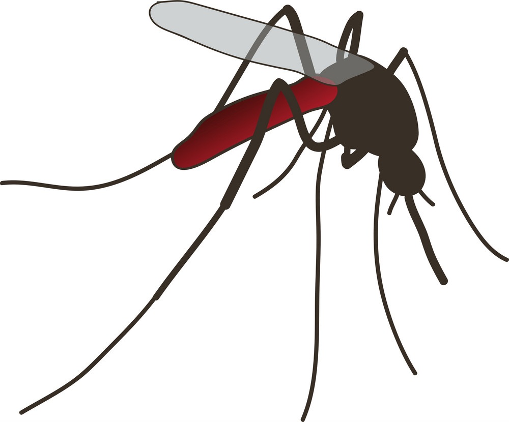 リアルな蚊のアイコン イラスト
