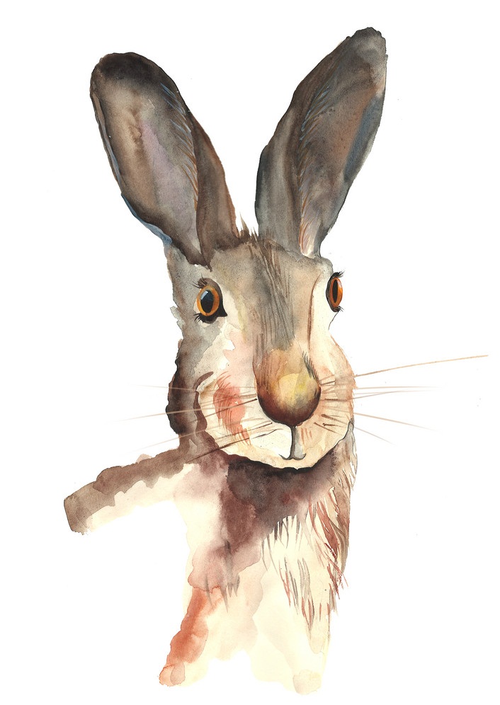 リアルな水彩ウサギのイラスト