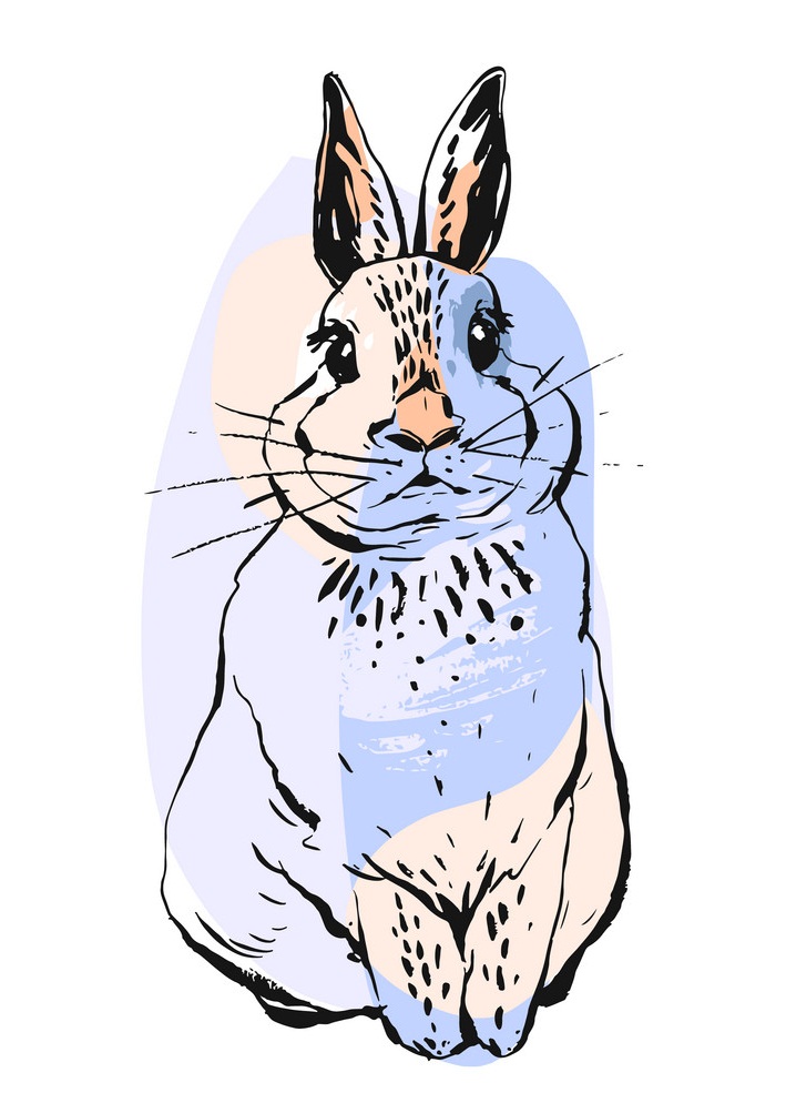 リアルな手描きのウサギのイラスト イラスト