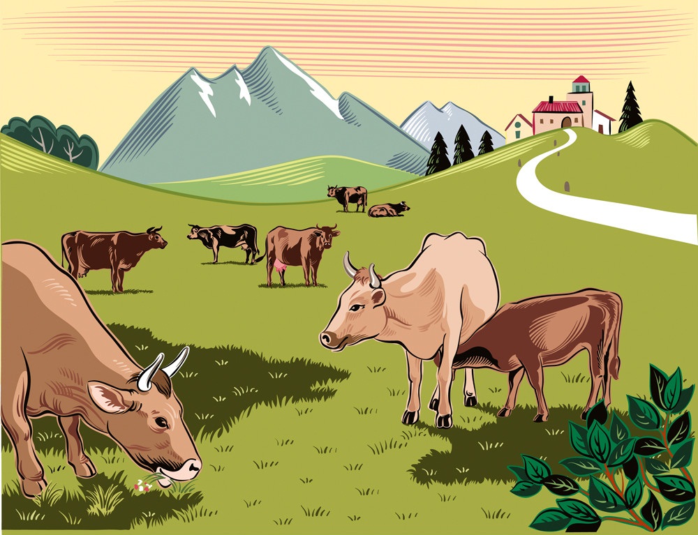 草原で放牧する牛のイラスト２ イラスト