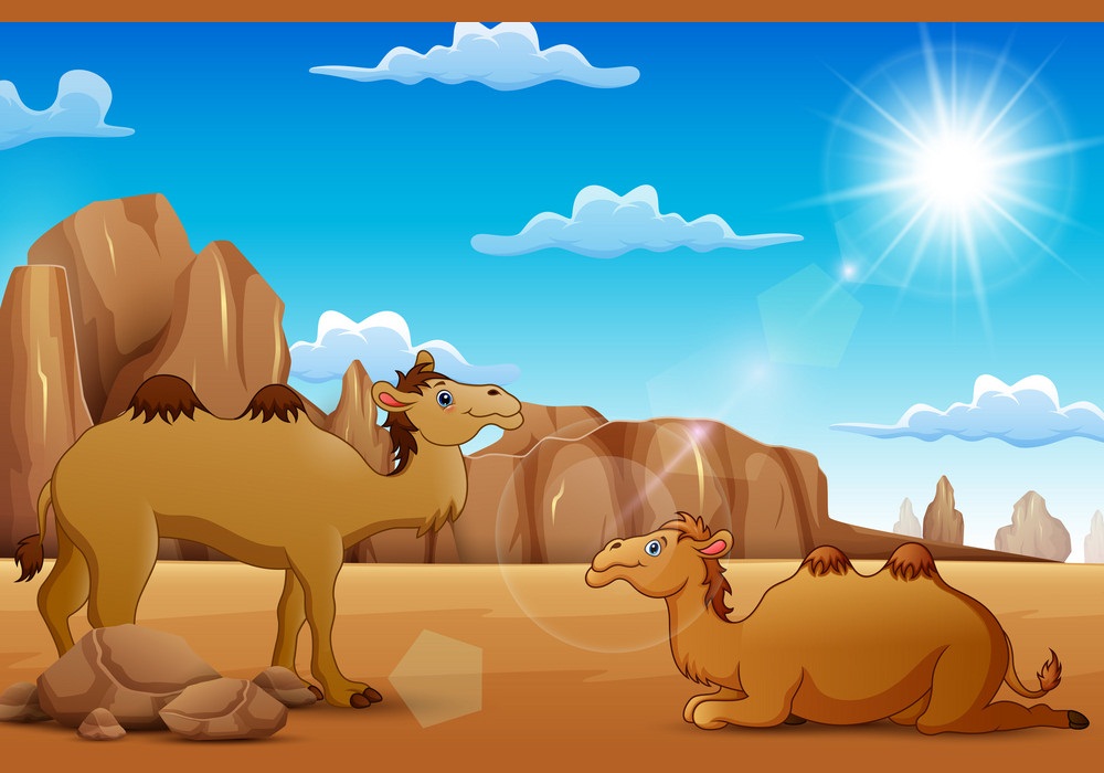 砂漠の漫画ラクダのイラスト