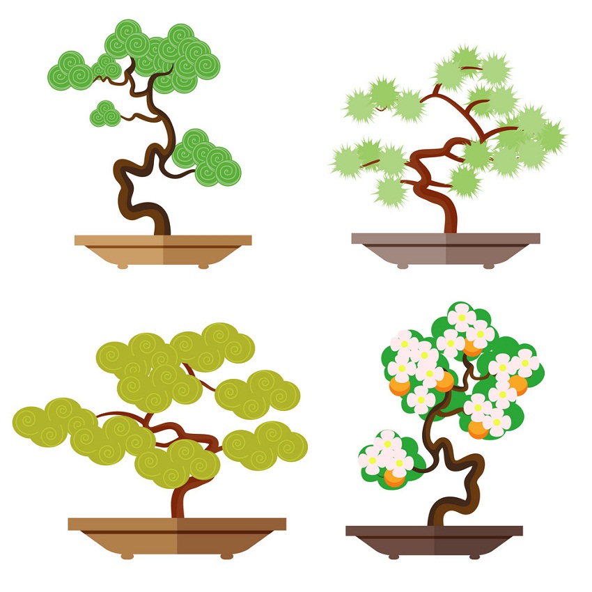 さまざまな盆栽の木のセットのイラスト