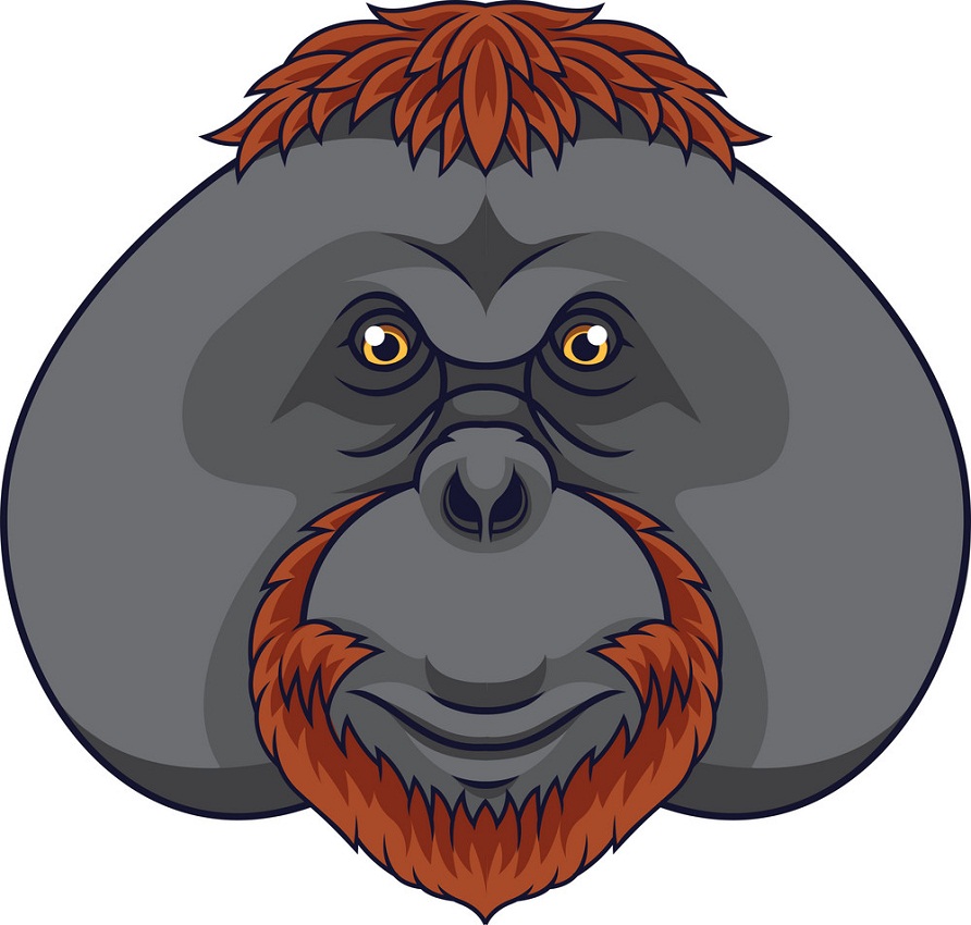 猿のオランウータンの頭のイラスト イラスト