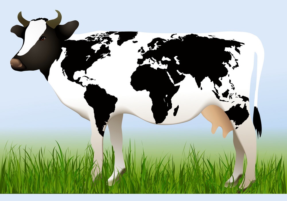 世界地図の皮を持つ牛のイラスト イラスト