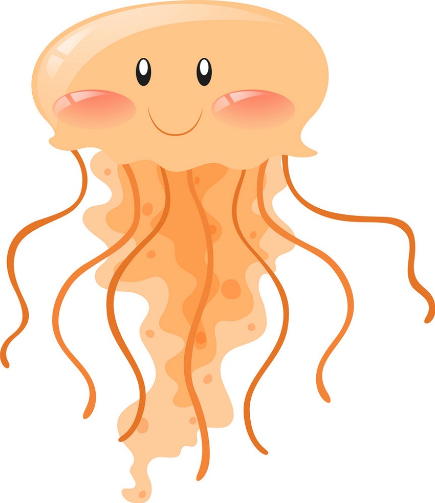 幸せなオレンジ色のクラゲのイラスト イラスト