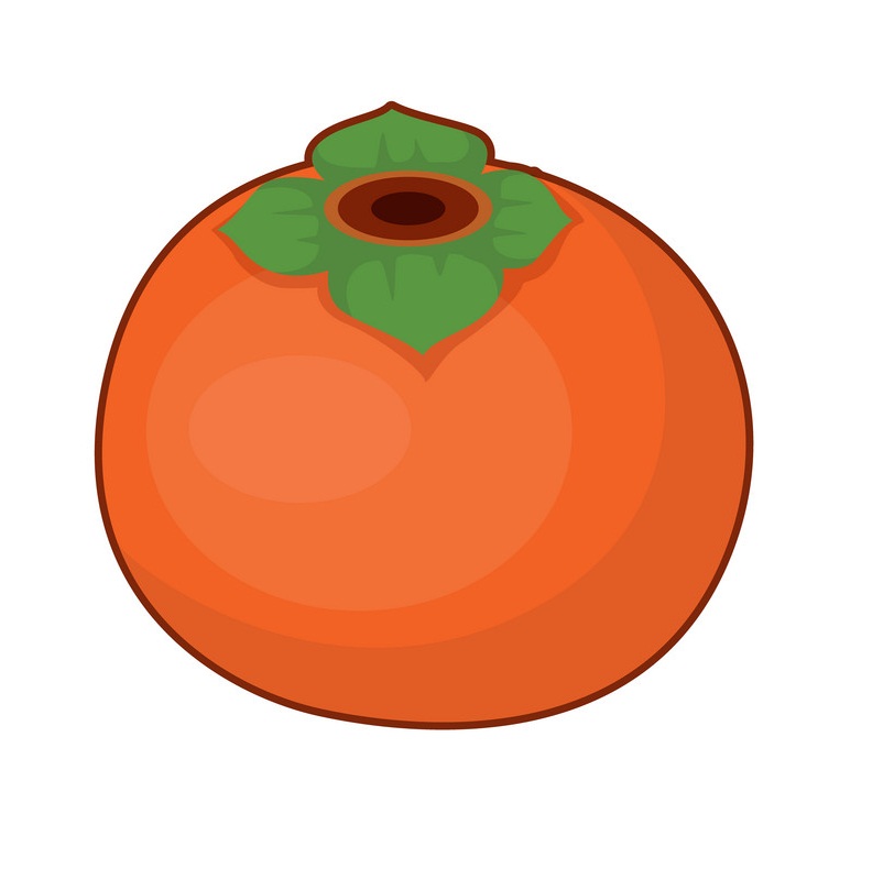シンプルな柿の実のイラスト イラスト