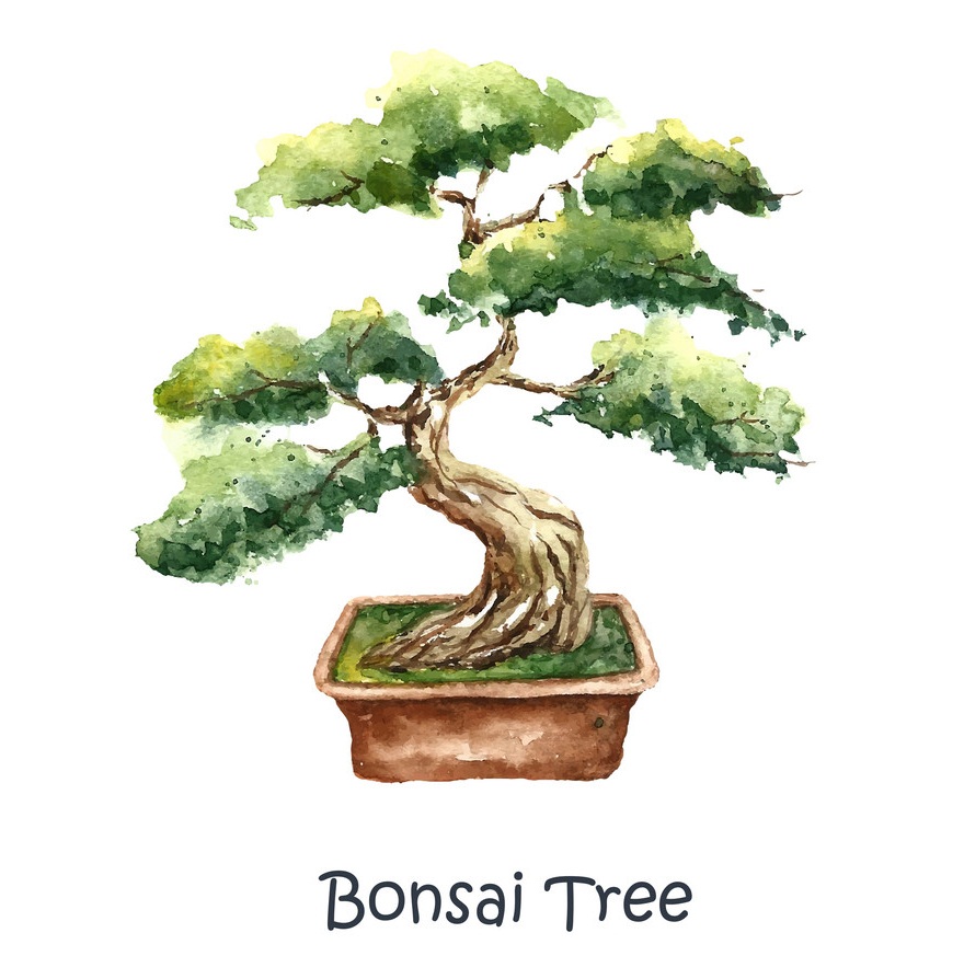 盆栽の木の イラスト