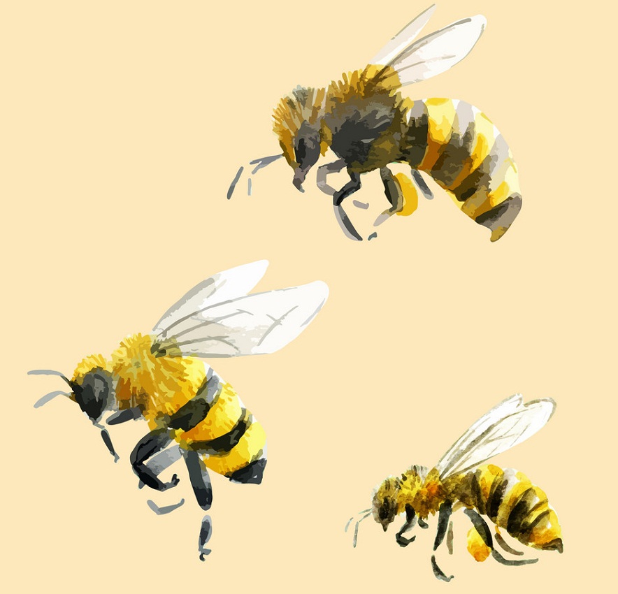 水彩の蜂のイラスト
